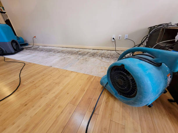 Professional Water Damage Repair technician working in Runnells, IA